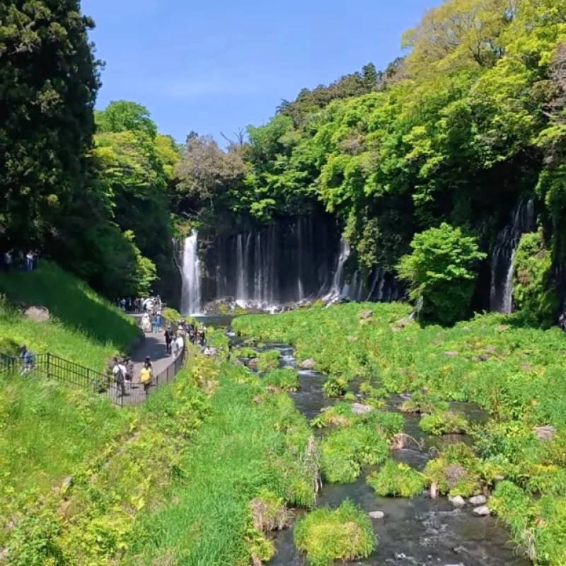 Gallery image for Shiraito Falls: Mount Fuji's Ethereal Wall of Water